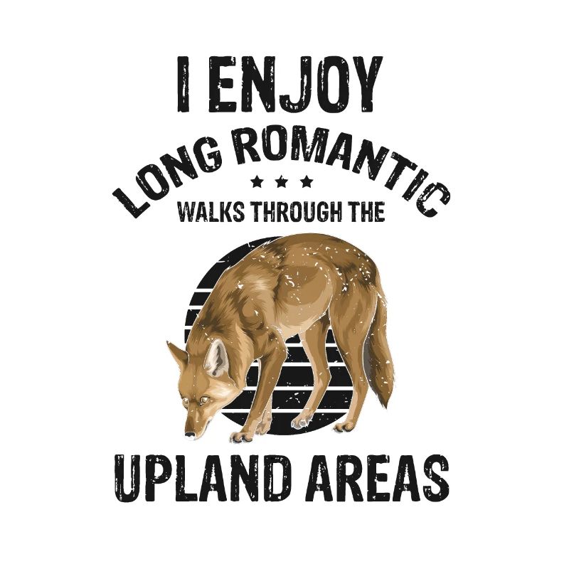 Conception de coyote pour les réacteurs de coyote