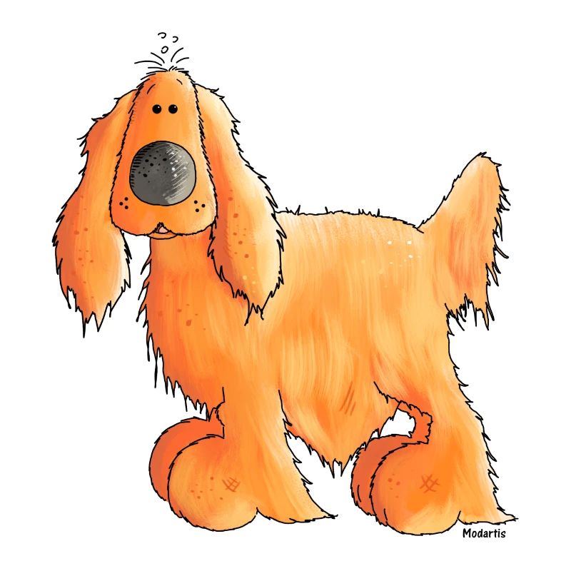Cocker Spaniel Anglais - Chien