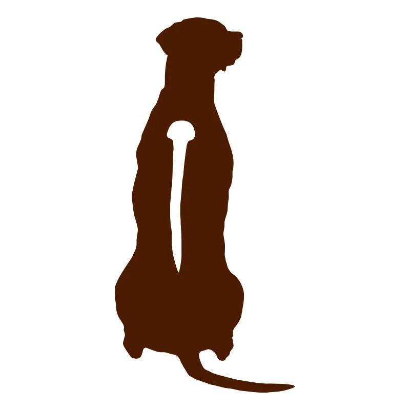 Rhodesian Ridgeback Back