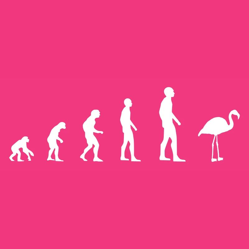 Flamingo – Evolution