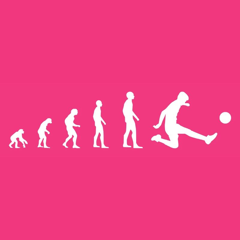 Fußball – Evolution