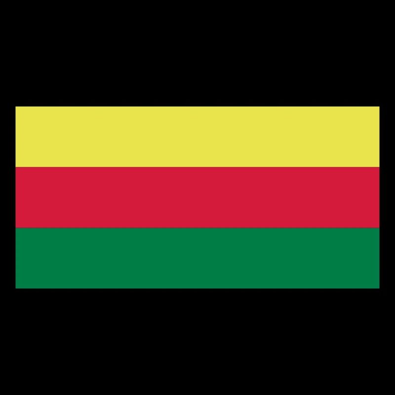 lithuania flag
