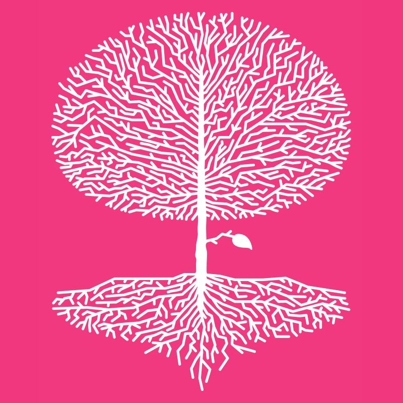Deciduous Tree Crown Forest Oak Beech Nature Linden Branches