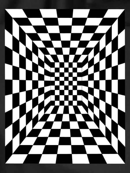 optical illusion 17