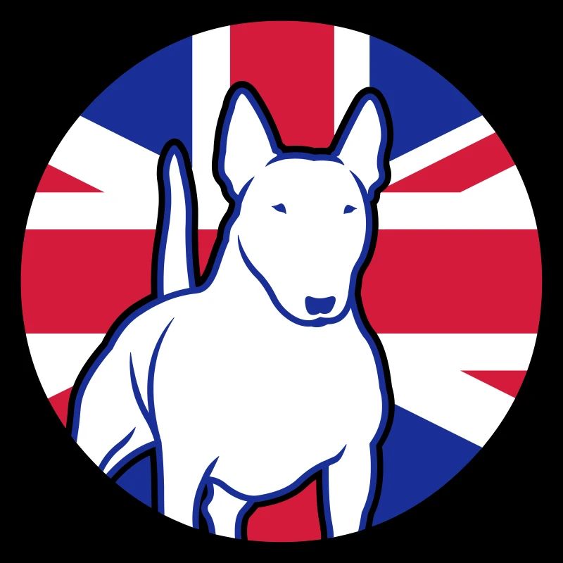 Miniatur Bullterrier UK 3c