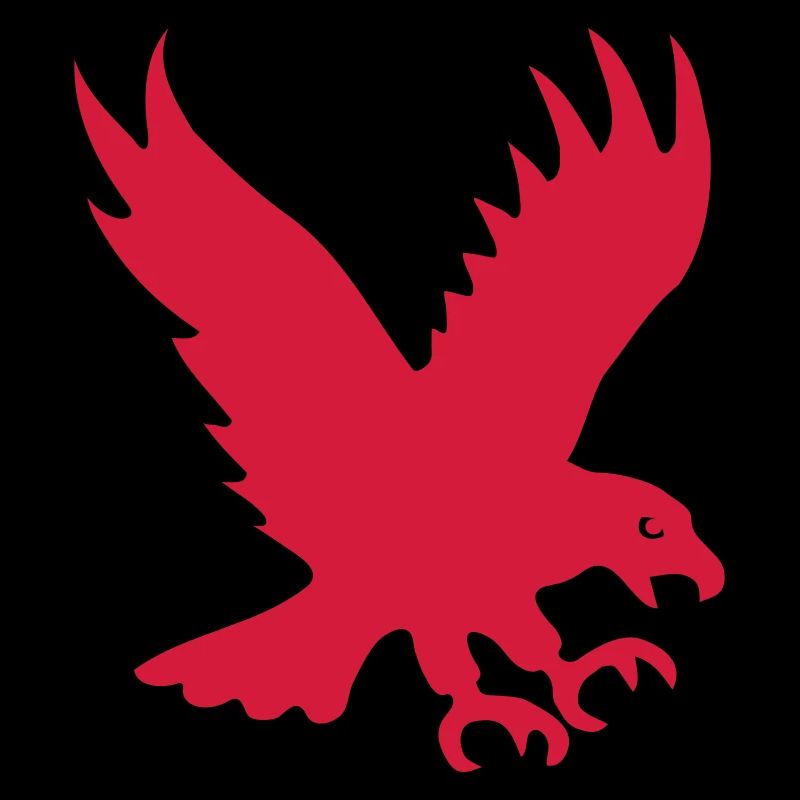 Adler Raubvogel Greifvogel Flügel eagle vogel bird