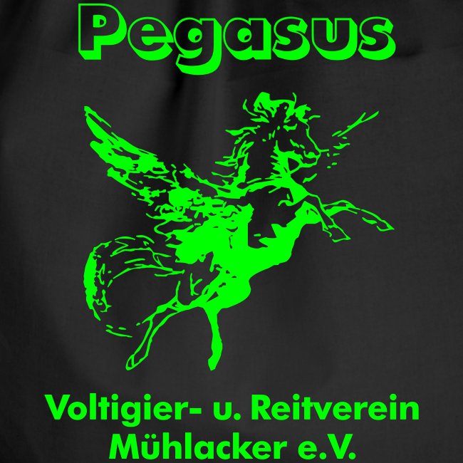 Pegasus Mühlacker Langarmshirts