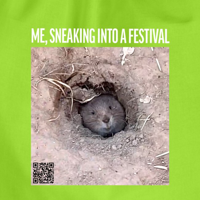 Me, sneaking into a festival