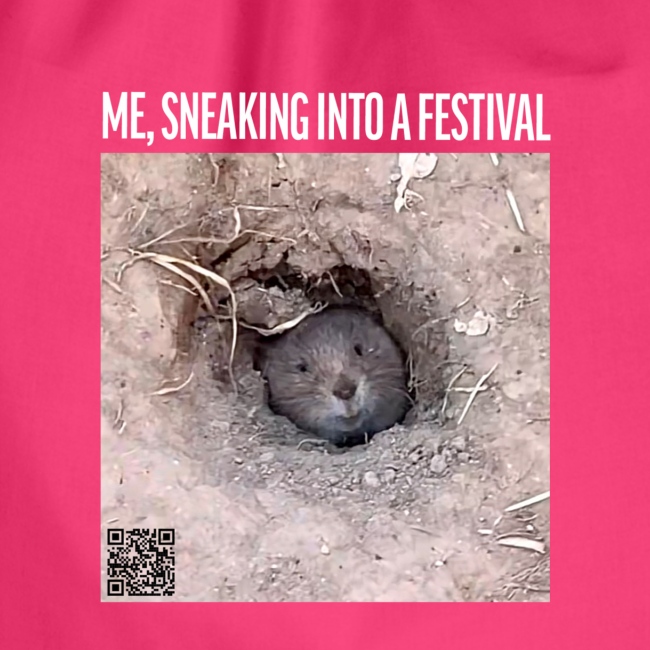 Me, sneaking into a festival