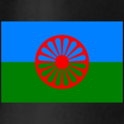 Flag of the Romani people -Small Klein
