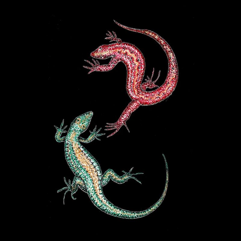 Eidechsen - Geckos