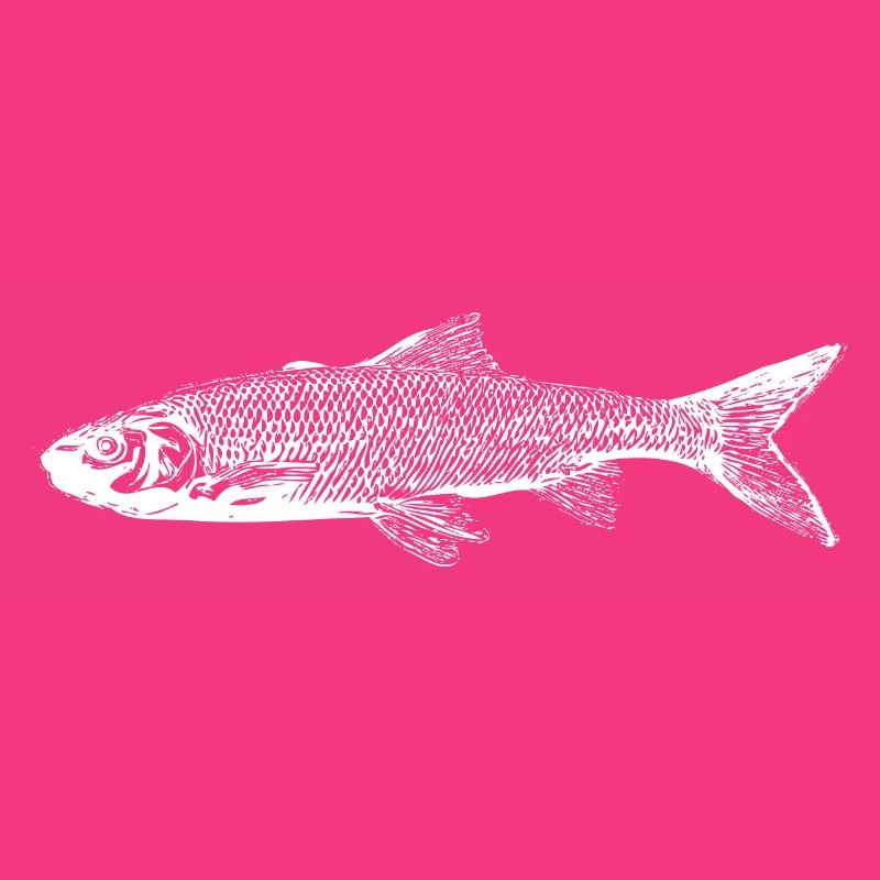 Trout fish