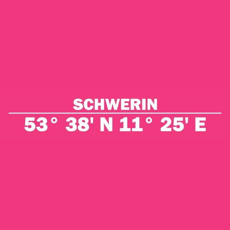 Schwerin coordinates