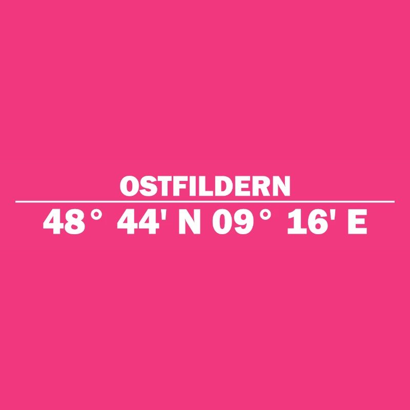 Coordonnées d’Ostfildern
