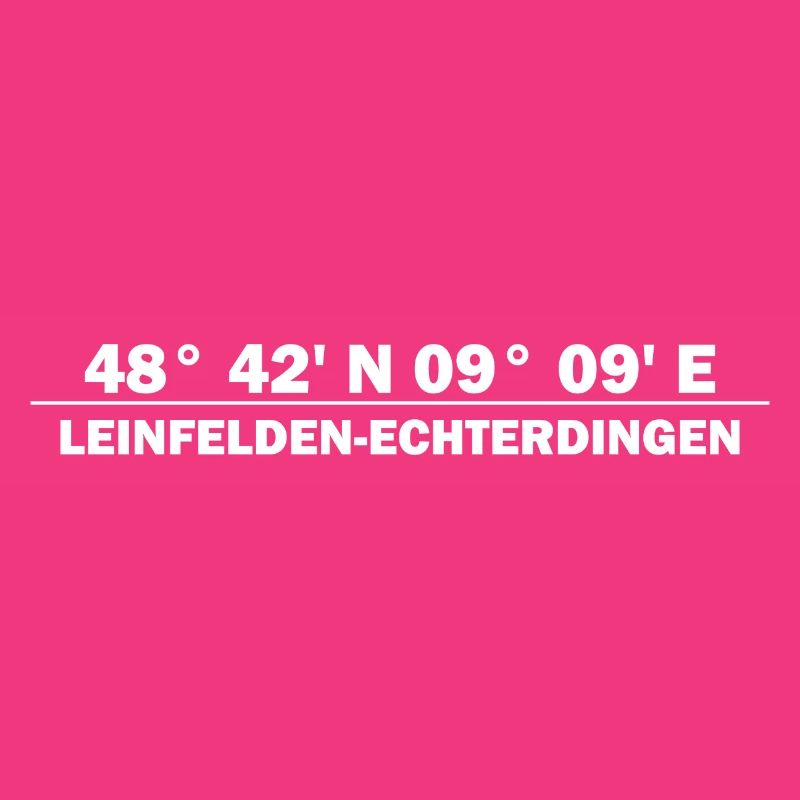 Coordonnées de Leinfelden-Echterdingen