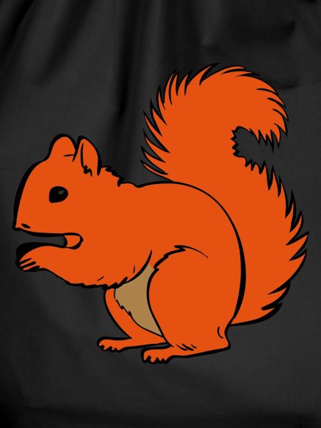 squirrel