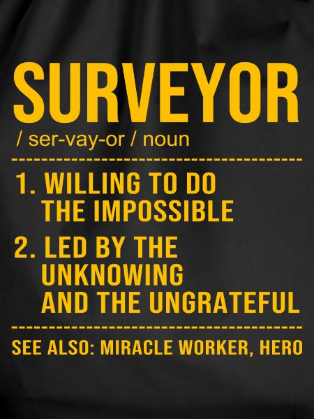 Surveyor