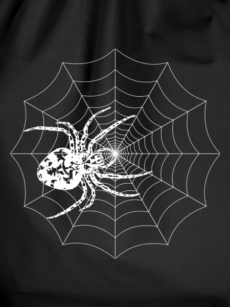 Spinne