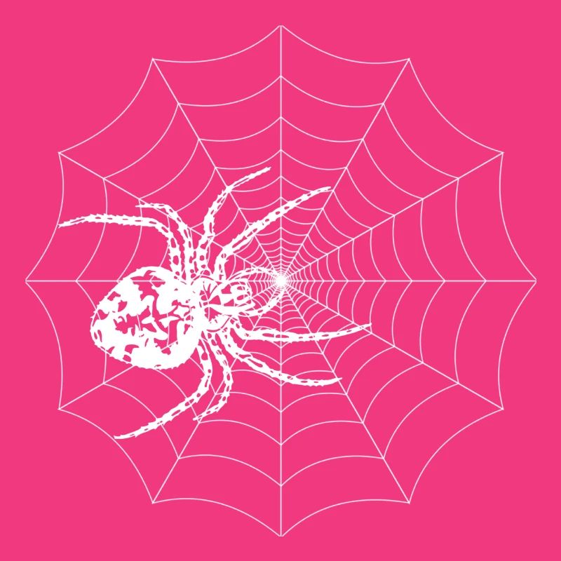 araignée