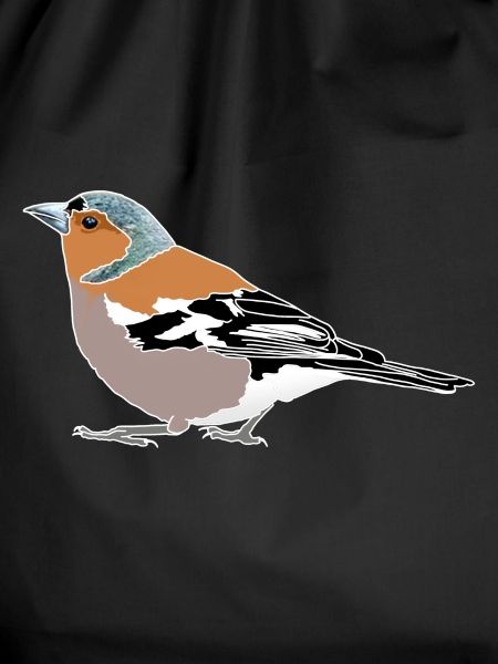 Chaffinch