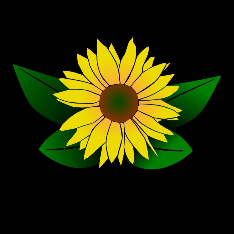 Sunflower, sunflower