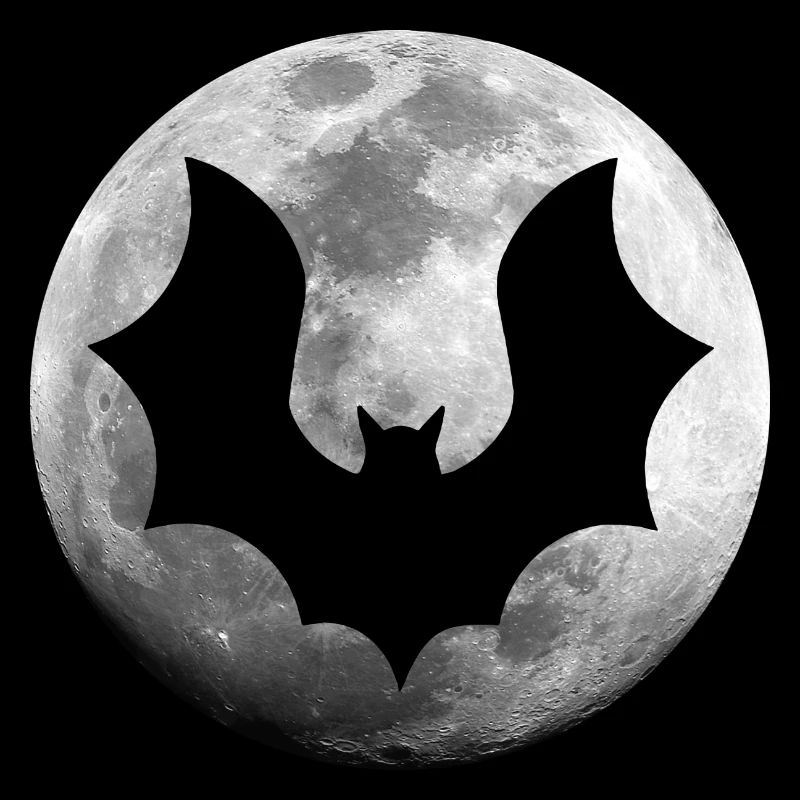 Bat Full Moon Night