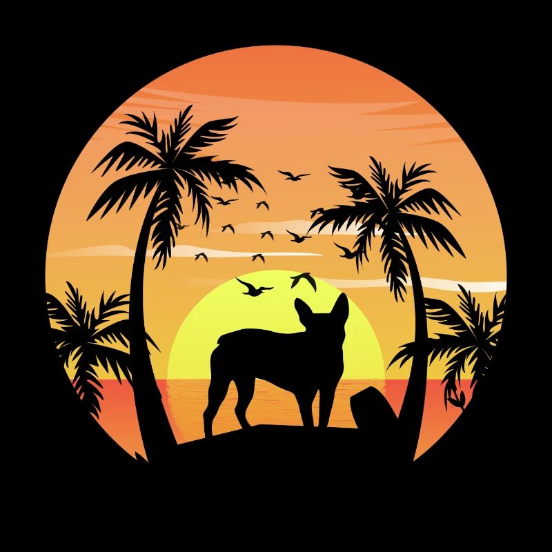 Boston terrier Propriétaire Beach Sunset Palm Trees