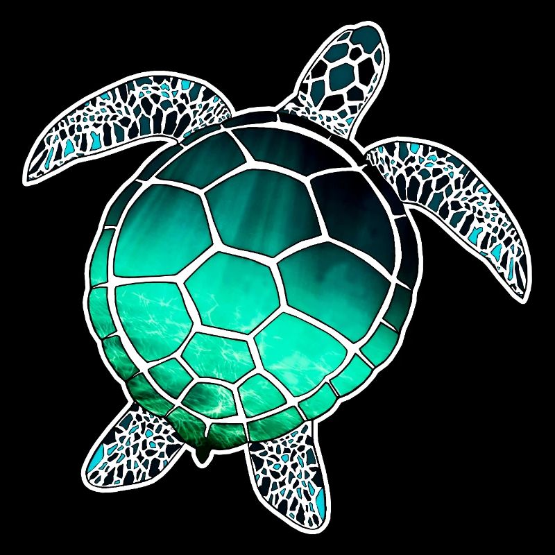 Sea Turtle