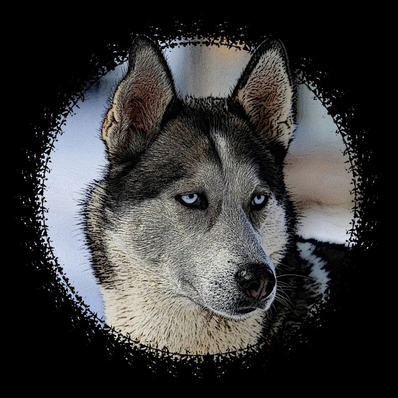 Husky