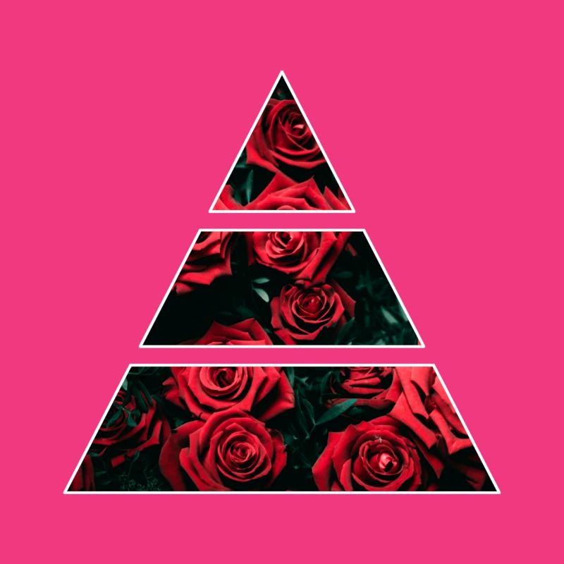 rosa
