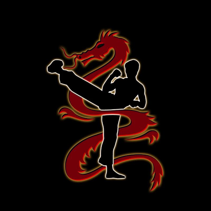 Sei Drache, mein Freund!