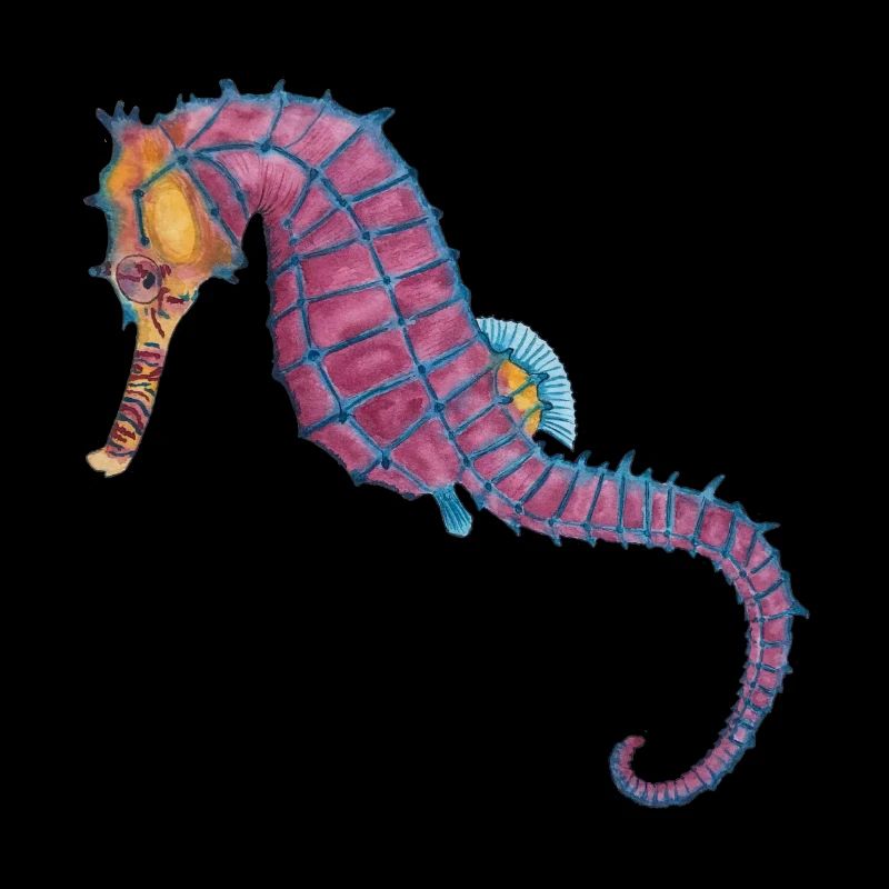 Seepferdchen Seepferd