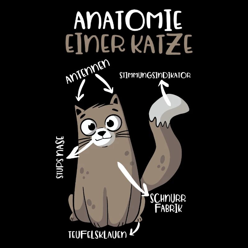 Anatomie einer Katze