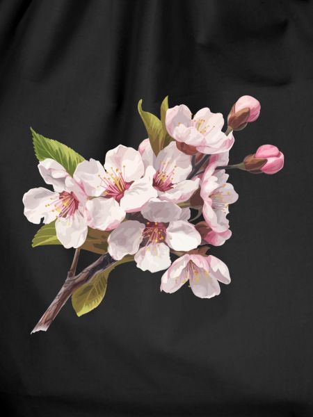Pastel cherry blossoms