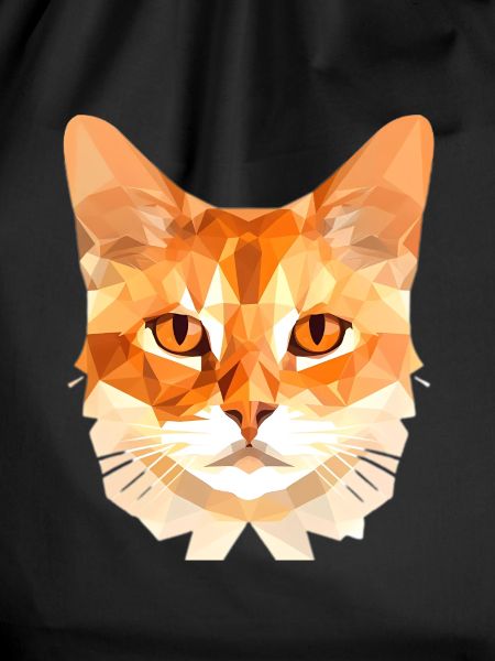 Polygon Cat