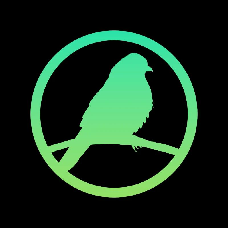 Peep Perruche Oiseaux