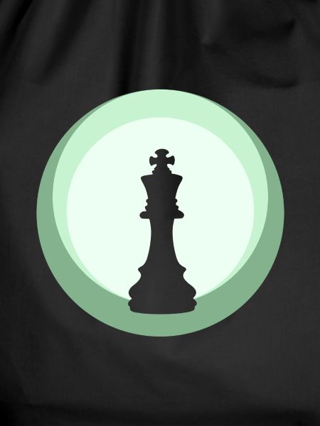 Chess Chess Chess Pieces