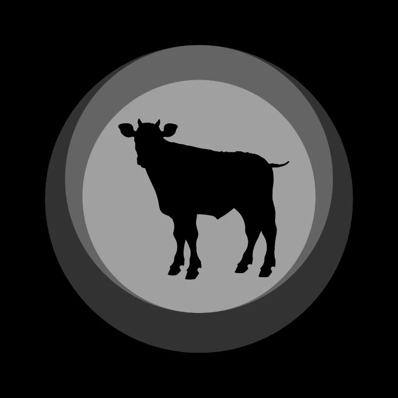 Kuh Stier Milch