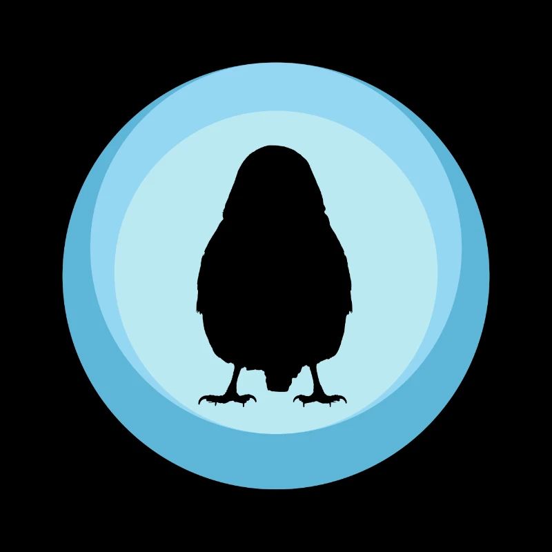 Bird Budgie Bird