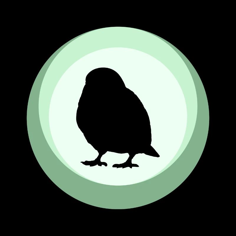 Bird Budgie Bird Illustration
