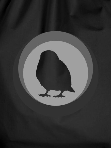 Bird Budgie Wings