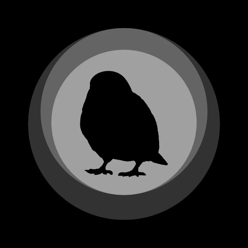 Bird Budgie Wings