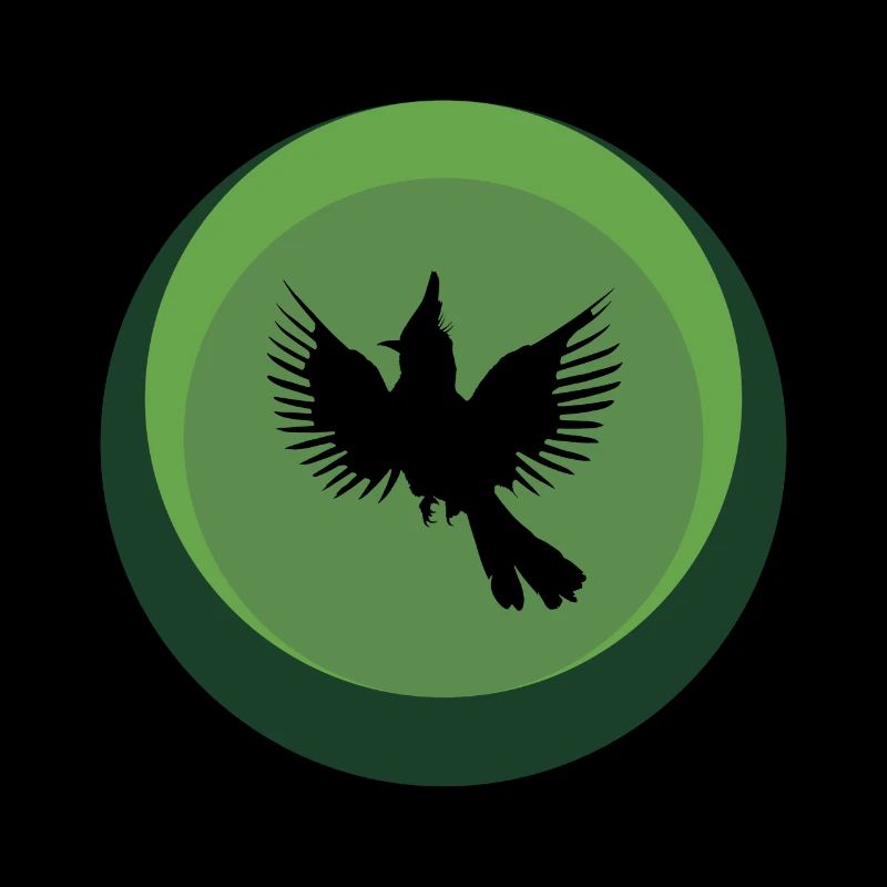 Calopsitte Oiseau Calopsitte