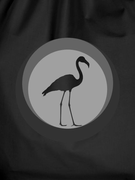 Flamenco Flamingo Flamenco