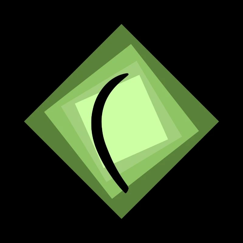 Boomerang Throwing Stick