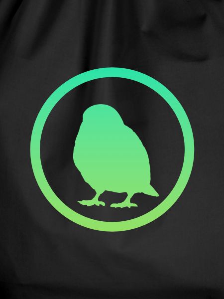 Bird Birds Bird