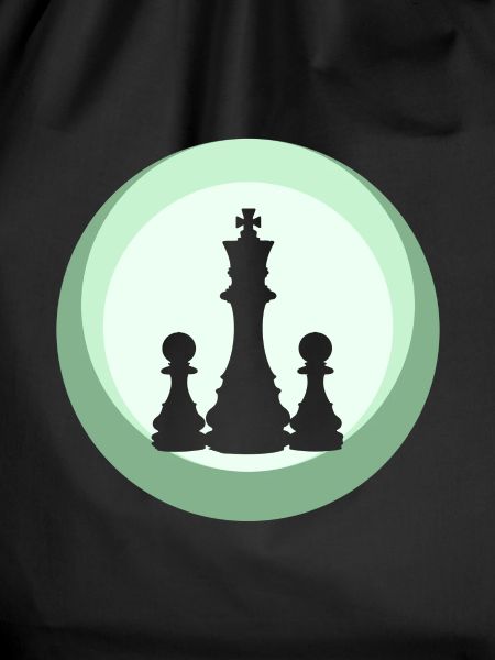 Chess Chess Piece Strategy