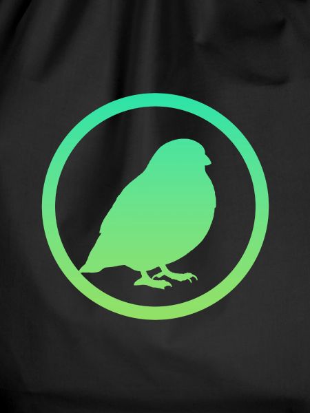Bird Birds Flying
