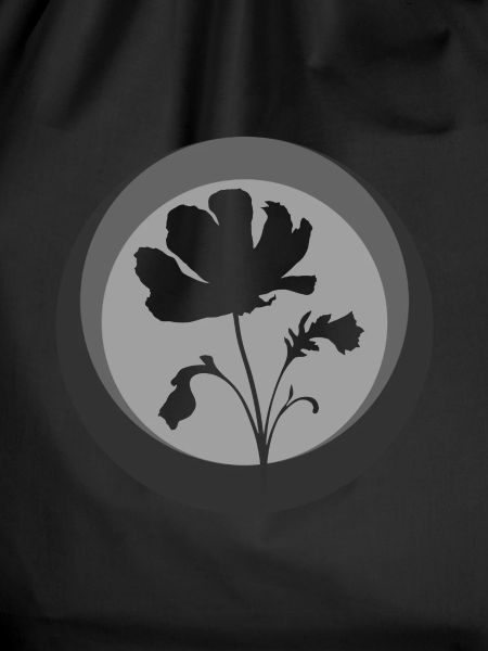 Botany Plants Flower