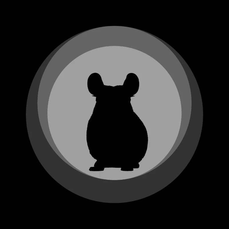 Chinchilla Mouse Hamster